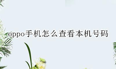 oppo手机怎么查看本机号码 OPPO手机怎样查看本机号码