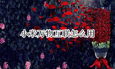 MIUI万物互联 小米万物互联怎么用