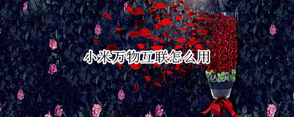 小米万物互联怎么用
