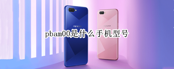 pbam00是什么手机型号