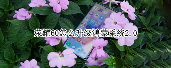 荣耀60怎么升级鸿蒙系统2.0