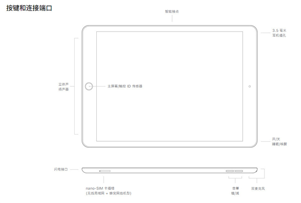 ipad2021耳机是什么插口