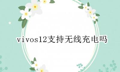 vivos12支持无线充电吗 vivos12是否支持无线充电