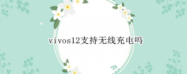 vivos12支持无线充电吗