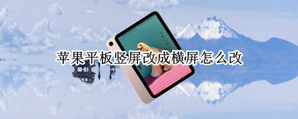 苹果平板竖屏改成横屏怎么改