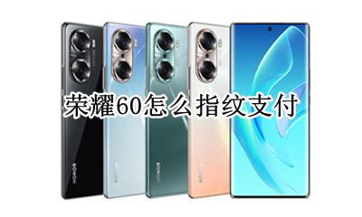 荣耀60怎么指纹支付 荣耀手机支付指纹怎么设置
