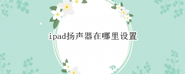 ipad扬声器在哪里设置