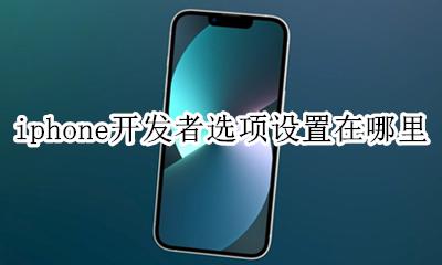 iphone开发者选项设置在哪里 苹果手机设置里的开发者选项在哪里