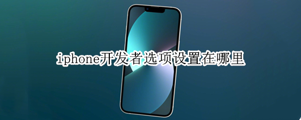 iphone开发者选项设置在哪里
