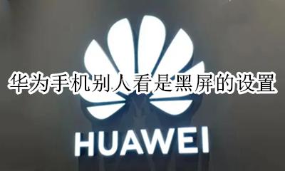 华为手机别人看是黑屏的设置 华为手机屏幕隐私保护旁边人看着是黑屏