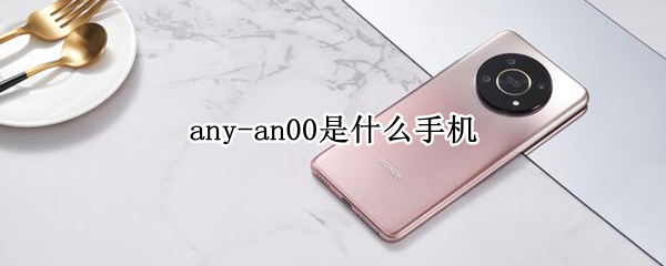 any-an00是什么手机
