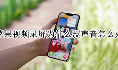 苹果视频录屏为什么没声音怎么办 苹果手机视频录屏没有声音怎么回事
