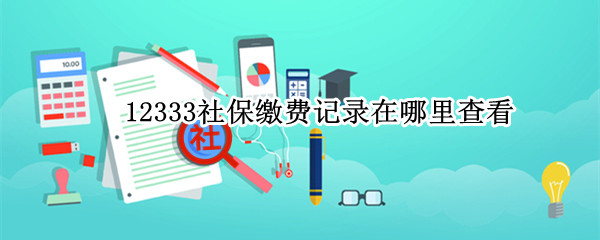 12333怎么查询社保缴费记录