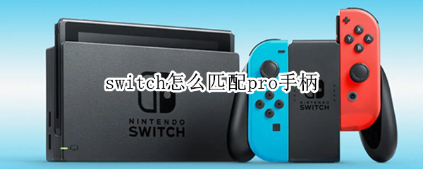 switch怎么匹配pro手柄