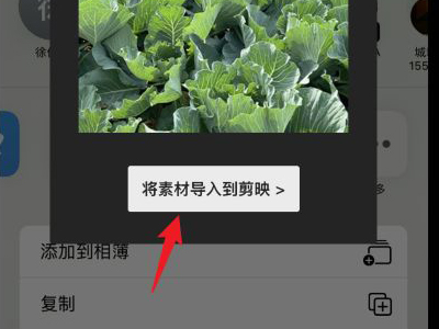 苹果相册里的视频怎么调倍速