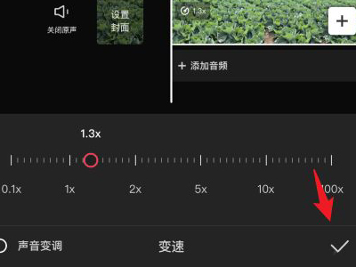 苹果相册里的视频怎么调倍速