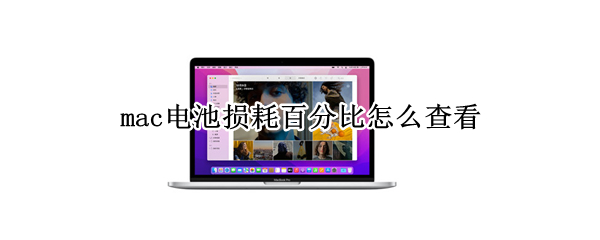 mac电池损耗百分比怎么查看