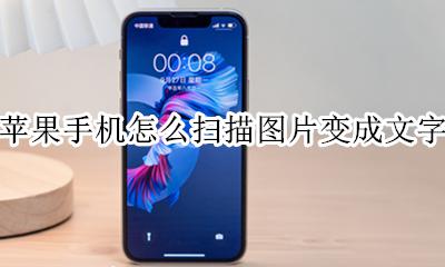 苹果手机怎么扫描图片变成文字 苹果手机如何扫描照片变成文字