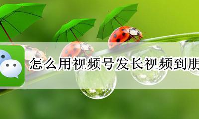 怎么用视频号发长视频到朋友圈 朋友圈怎么用视频号发长视频?