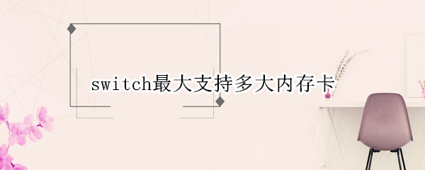 switch最大支持多大内存卡