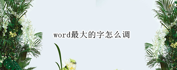 word最大的字怎么调