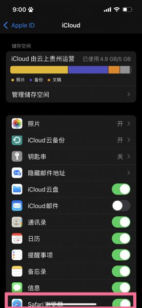 苹果手机浏览器记录删除了可以查看吗?