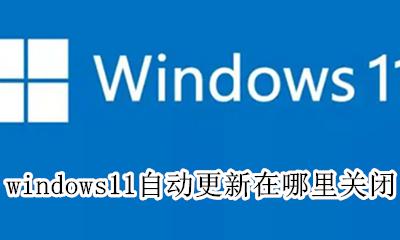 怎么取消windows11自动更新 windows11自动更新在哪里关闭