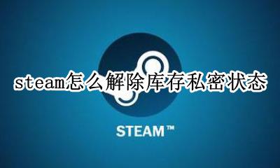 steam如何解除库存隐私 steam怎么解除库存私密状态