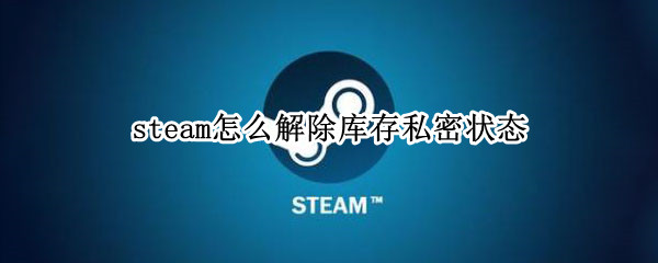steam怎么解除库存私密状态