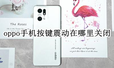 oppo手机按键震动在哪里关闭 oppo手机按键按了一直震动哪里关掉