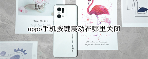 oppo手机按键震动在哪里关闭
