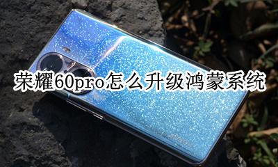 荣耀60pro怎么升级鸿蒙系统 荣耀60pro鸿蒙系统怎么升级