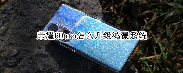 荣耀60pro怎么升级鸿蒙系统