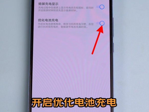 vivo双引擎闪充在哪里设置