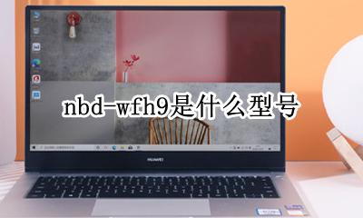 nbd-wfh9hn nbd-wfh9是什么型号
