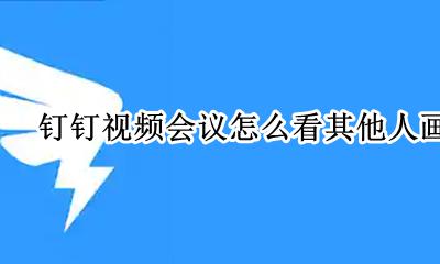 钉钉视频会议能看到每个人吗 钉钉视频会议怎么看其他人画面