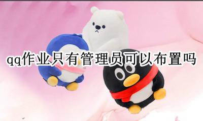 qq作业只有管理员可以布置吗 qq作业是不是管理员才能布置