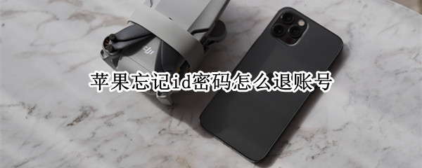 苹果忘记id密码怎么退账号
