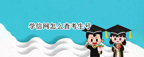 学信网怎么查考生号