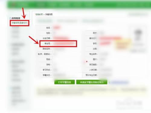 学信网怎么查考生号