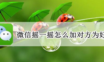 微信摇一摇怎么加对方为好友 微信摇一摇的人怎么加为好友