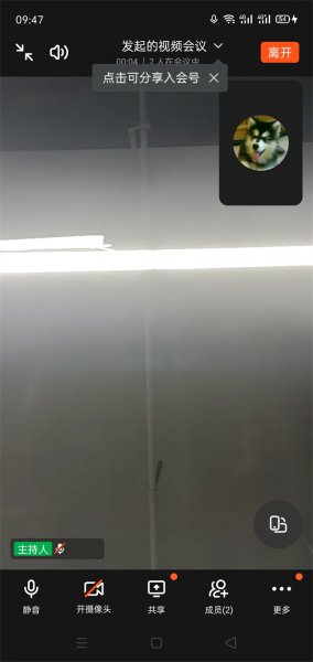 钉钉加入会议在哪里