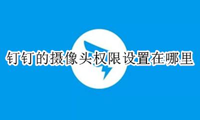 钉钉的摄像头权限设置在哪里 钉钉电脑摄像头权限在哪设置