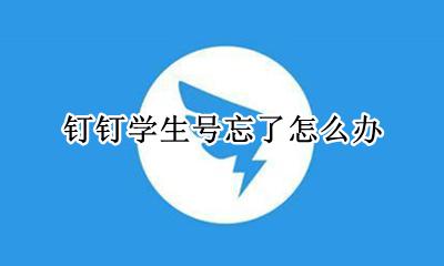 钉钉学生号忘了怎么办 钉钉学生号密码忘了怎么办