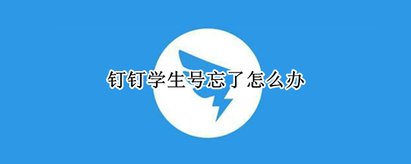 钉钉学生号忘了怎么办