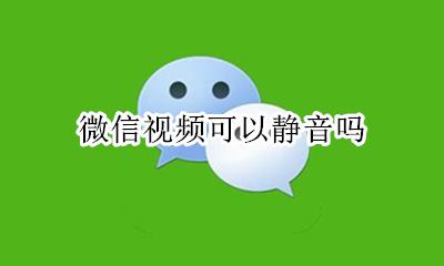 微信视频能否静音 微信视频可以静音吗