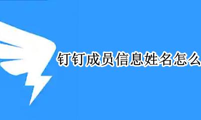 钉钉成员信息姓名怎么修改 钉钉同事信息姓名怎么修改