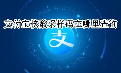 支付宝核酸采样码在哪里查询 支付宝在哪里查看核酸检测报告