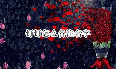 钉钉怎么备注名字 钉钉里怎么改备注名