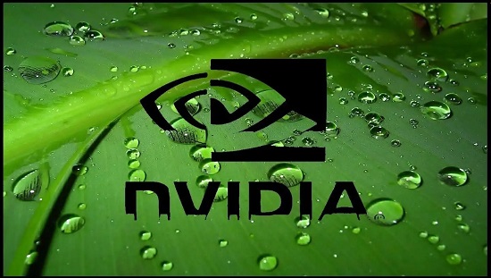 nvidia驱动缓存能清理吗